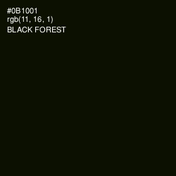 #0B1001 - Black Forest Color Image